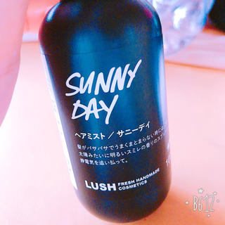 ラッシュ(LUSH)のLUSH SUNNY DAY(ヘアケア)