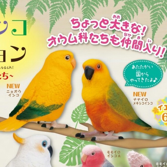 手のりインココレクション　ちょっと大きな仲間たち　全10種類　新品未開封品 その他のペット用品(鳥)の商品写真