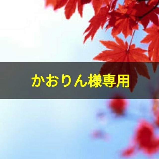 Obagi(オバジ)のまとめ売り（新品　訳あり⭐オバジC⭐セラムファンデーション　未開封 ) コスメ/美容のベースメイク/化粧品(ファンデーション)の商品写真