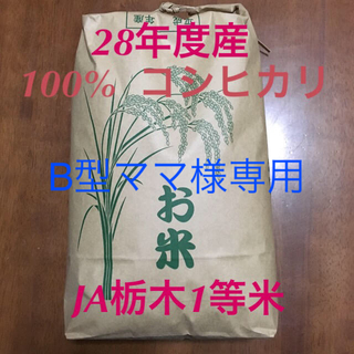 100%コシヒカリ  10kgB型ママさま専用(米/穀物)