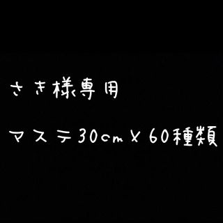 専用ページ(テープ/マスキングテープ)