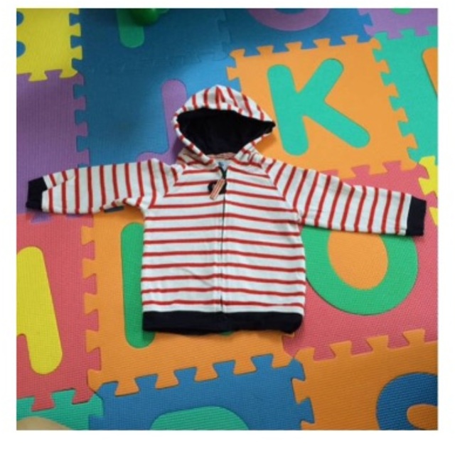 PETIT BATEAU(プチバトー)のパーカー キッズ/ベビー/マタニティのベビー服(~85cm)(ジャケット/コート)の商品写真