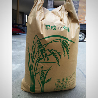 農家直送 米 コシヒカリ(米/穀物)