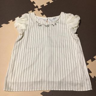 シマムラ(しまむら)のストライプ 白色 トップス(シャツ/ブラウス(半袖/袖なし))