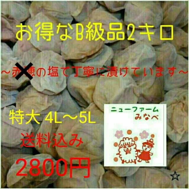 ままりん様専用☆南高梅の白干B10㎏ 食品/飲料/酒の加工食品(漬物)の商品写真