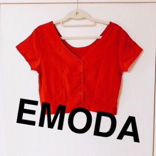 エモダ(EMODA)のEMODA✨美品✨クロップド✨シャツ✨トップス(Tシャツ(半袖/袖なし))