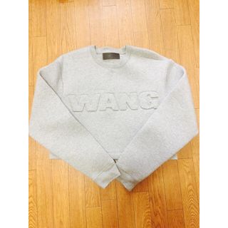 アレキサンダーワン(Alexander Wang)のアレキサンダーワン H&Mコラボ(トレーナー/スウェット)