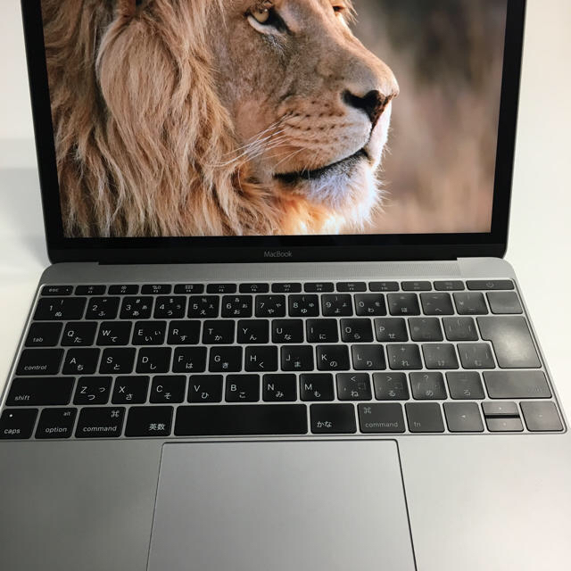 全国宅配無料 Mac (Apple) - MacBook (Retina 12-inch Early 2015