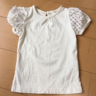 サニーランドスケープ(SunnyLandscape)のサニーランド セール最終価格(Tシャツ/カットソー)