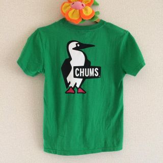 チャムス(CHUMS)のCHUMS ブービーバード Tシャツ(Tシャツ(半袖/袖なし))