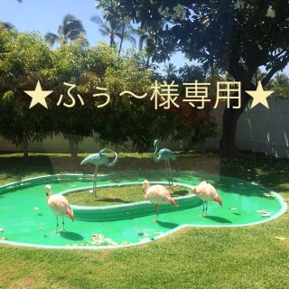 フォリフォリ(Folli Follie)の★ふぅ〜様専用★(リング(指輪))