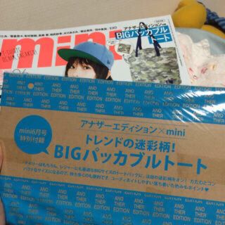 アナザーエディション(ANOTHER EDITION)のBIGパッカブルトート(トートバッグ)