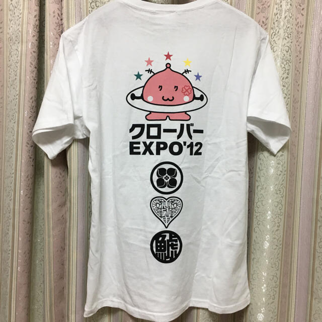 ももいろクローバーZ(モモイロクローバーゼット)のミポコ様専用 ももクロ クローバーEXPO スターダストアイドルTシャツ エンタメ/ホビーのタレントグッズ(アイドルグッズ)の商品写真