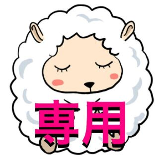 ptj様専用(その他)