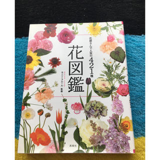 花図鑑(文学/小説)