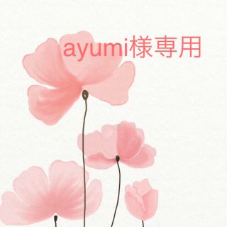 ayumi様専用(その他)