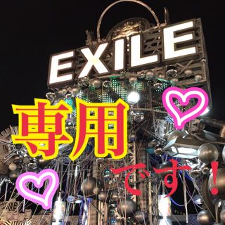 必ずプロフィール必読様 専用です！(その他)