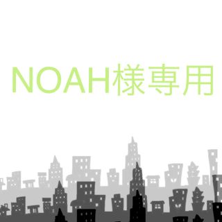 NOAH様専用(その他)