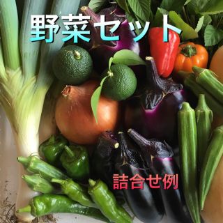 野菜セット 70(野菜)