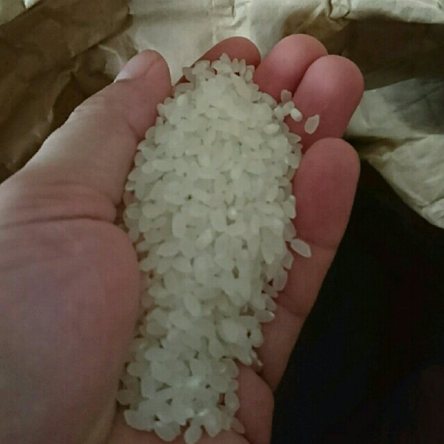 専用６