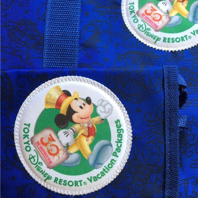 Disney(ディズニー)の新品未使用♪30周年バケーションパッケージバッグ チケットの施設利用券(遊園地/テーマパーク)の商品写真