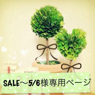 SALE〜5/6 様専用ページ(その他)