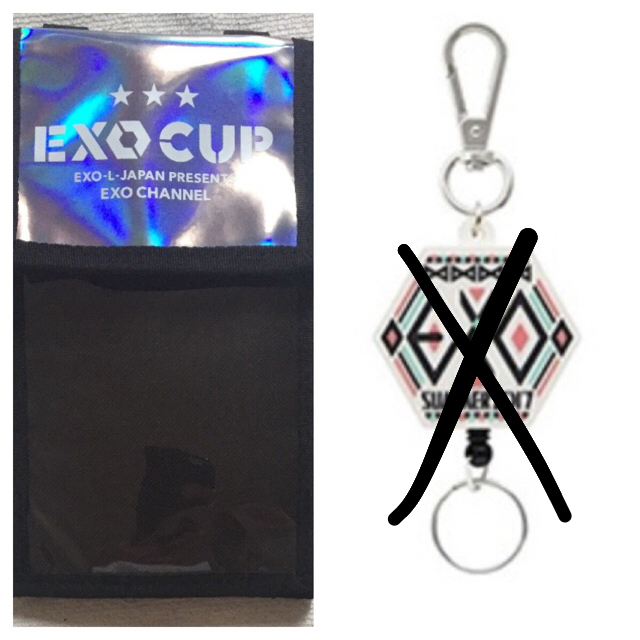 EXO(エクソ)のりん様 チケットホルダー エンタメ/ホビーのCD(K-POP/アジア)の商品写真