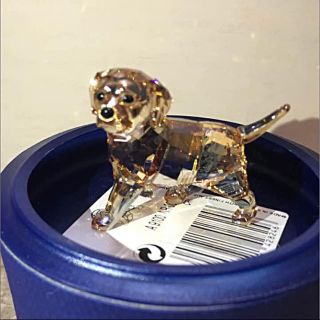 スワロフスキー(SWAROVSKI)のスワロフスキー 置物 ゴールデンレトリバー 犬(置物)