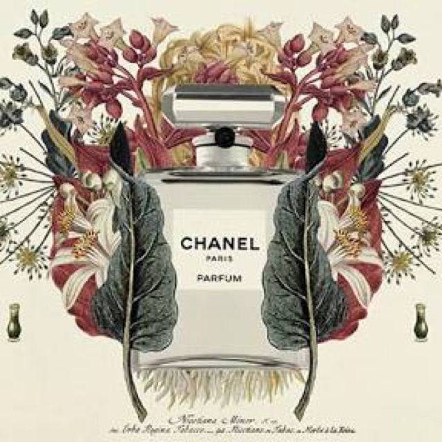 CHANEL(シャネル)の♡はる☆様お取り置き♡ レディースのファッション小物(名刺入れ/定期入れ)の商品写真