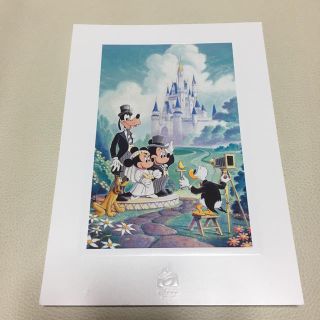 ディズニー(Disney)のWDW ディズニー ミッキーミニー フェアリーテール ウエディング ポストカード(使用済み切手/官製はがき)