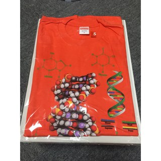 シュプリーム(Supreme)のシュプリーム DNA TEE(Tシャツ/カットソー(半袖/袖なし))