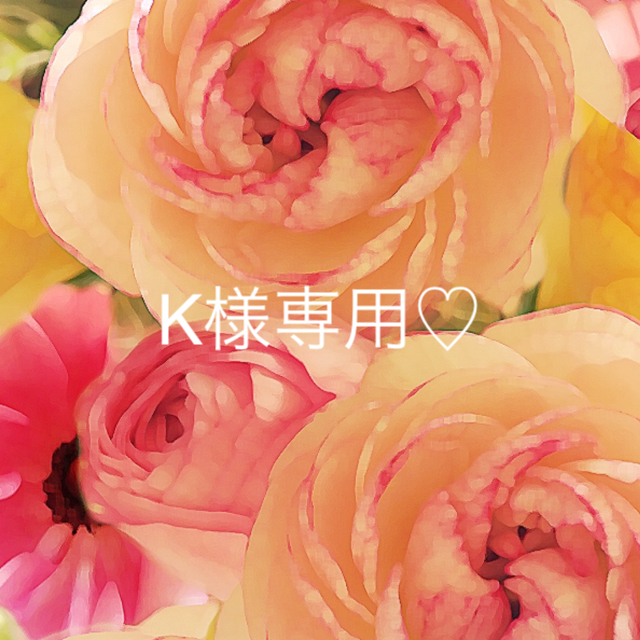 Kenko(ケンコー)のK様専用♡ コスメ/美容のダイエット(その他)の商品写真