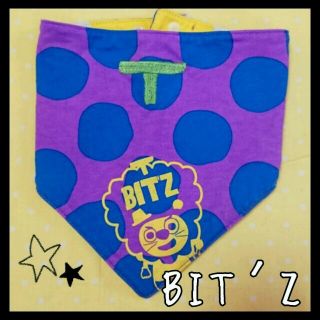 ビッツ(Bit'z)のさかいた様 専用 ♡(その他)