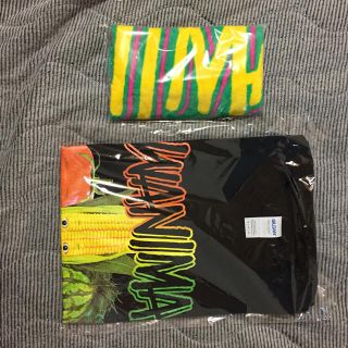 値下げ！【最安値】新品未開封 WANIMA 野菜Tシャツ&タオル(ミュージシャン)