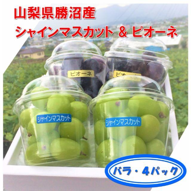 【ゆみんず様専用】山梨県勝沼産ぶどう シャインマスカット3&ピオーネ1  パック 食品/飲料/酒の食品(フルーツ)の商品写真