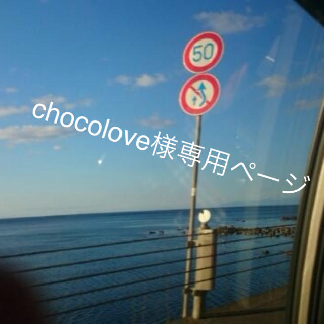 chocolove様専用ページ（他の方は購入不可 その他のその他(その他)の商品写真