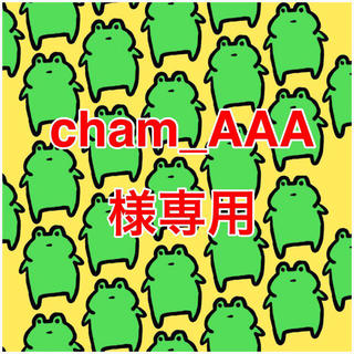 トリプルエー(AAA)のcham_AAA様専用ページ(その他)