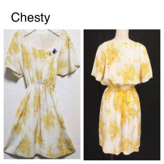 チェスティ(Chesty)の美品【チェスティ】値段交渉あり‼︎ ワンピース (ひざ丈ワンピース)