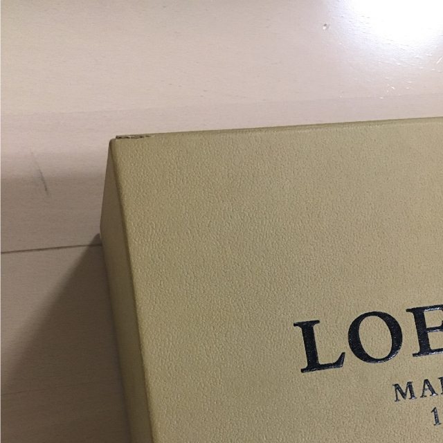 LOEWE(ロエベ)の値下げ ロエベ ショルダー 新品 未使用  レディースのバッグ(ショルダーバッグ)の商品写真