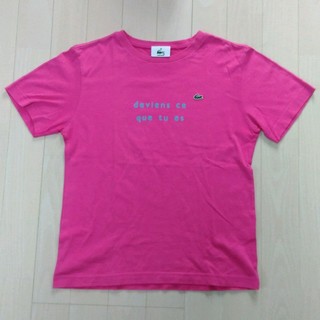 ラコステ(LACOSTE)のLACOSTEレディースTシャツ サイズ40(Tシャツ(半袖/袖なし))