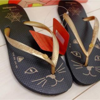 シャルロットオリンピア(Charlotte Olympia)のシャーロットオリンピア×havaianas新品 猫KITTYビーチサンダル 35(ビーチサンダル)