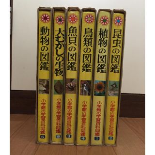 【ゴリラ魔人さま専用】小学館 学習百科事典 6冊セット 図鑑 辞典の