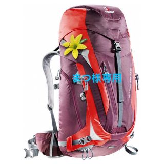 ドイター(Deuter)の新品、未使用 deuter バックパック(リュック/バックパック)