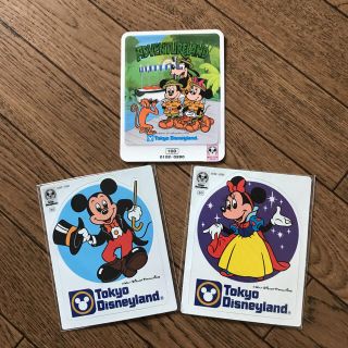 ディズニー(Disney)のれおまま様 ディズニーランド ステッカー(しおり/ステッカー)