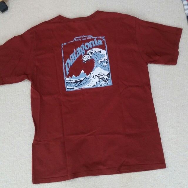 patagonia(パタゴニア)のメンズパタゴニアTシャツ メンズのトップス(Tシャツ/カットソー(半袖/袖なし))の商品写真