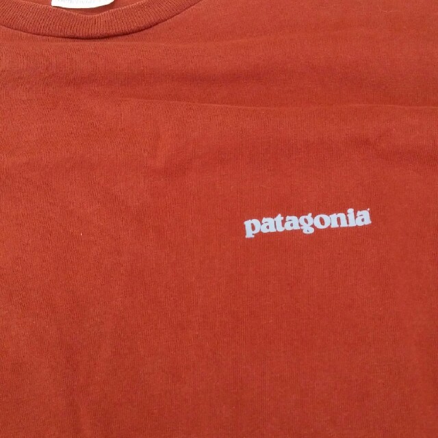 patagonia(パタゴニア)のメンズパタゴニアTシャツ メンズのトップス(Tシャツ/カットソー(半袖/袖なし))の商品写真