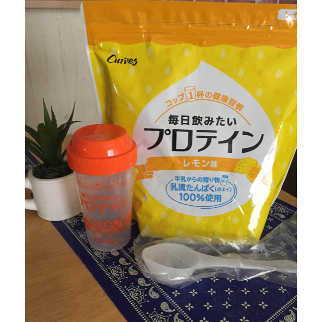 カーブス プロテイン 食品/飲料/酒の健康食品(プロテイン)の商品写真