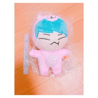 セブンティーン(SEVENTEEN)の호시 ✧ ぬいぐるみ(アイドルグッズ)