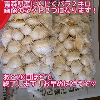 青森県産にんにくバラ詰め２キロ以上(野菜)