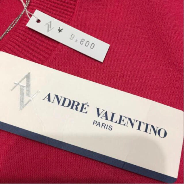 VALENTINO(ヴァレンティノ)のタグ付き新品♡Andre Valentino レディースのトップス(トレーナー/スウェット)の商品写真